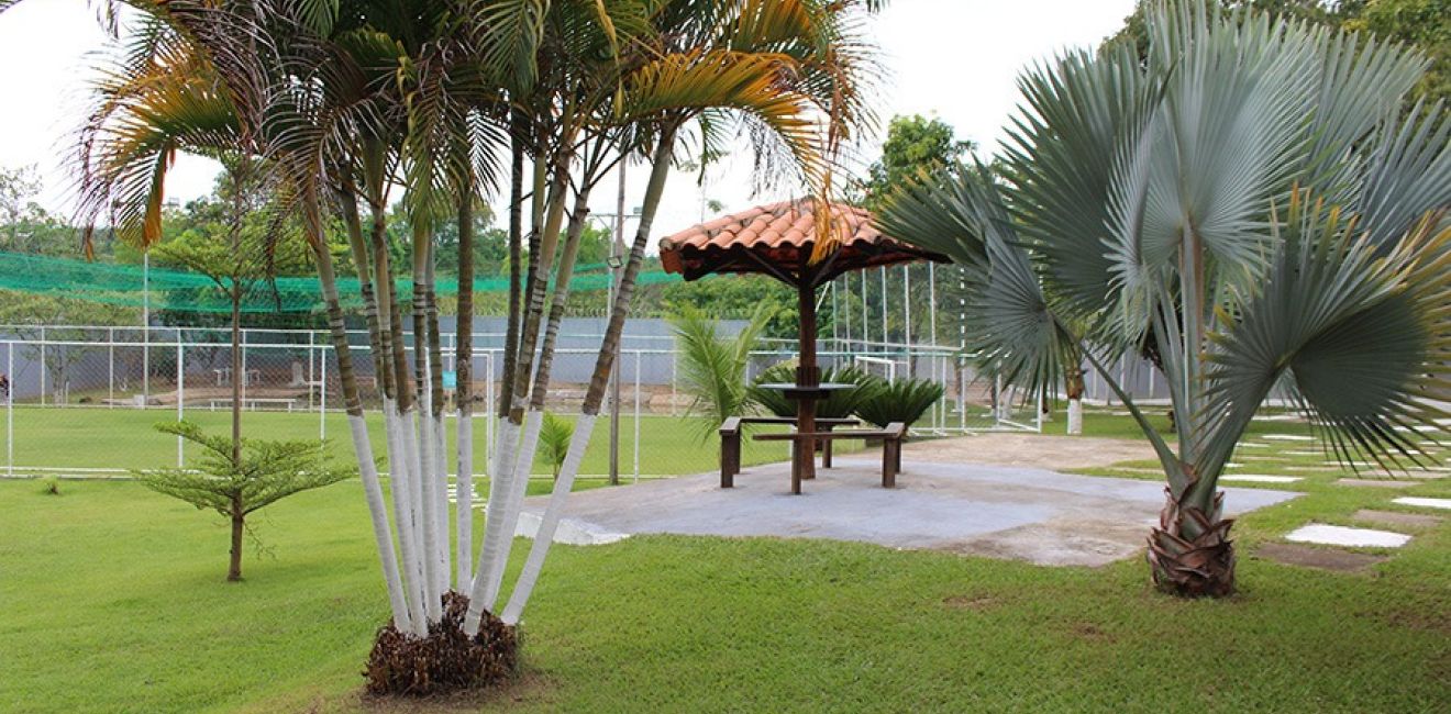 Clínica de Reabilitação para Dependentes Químicos: Tratamento, Internação e Como Vencer os Vícios