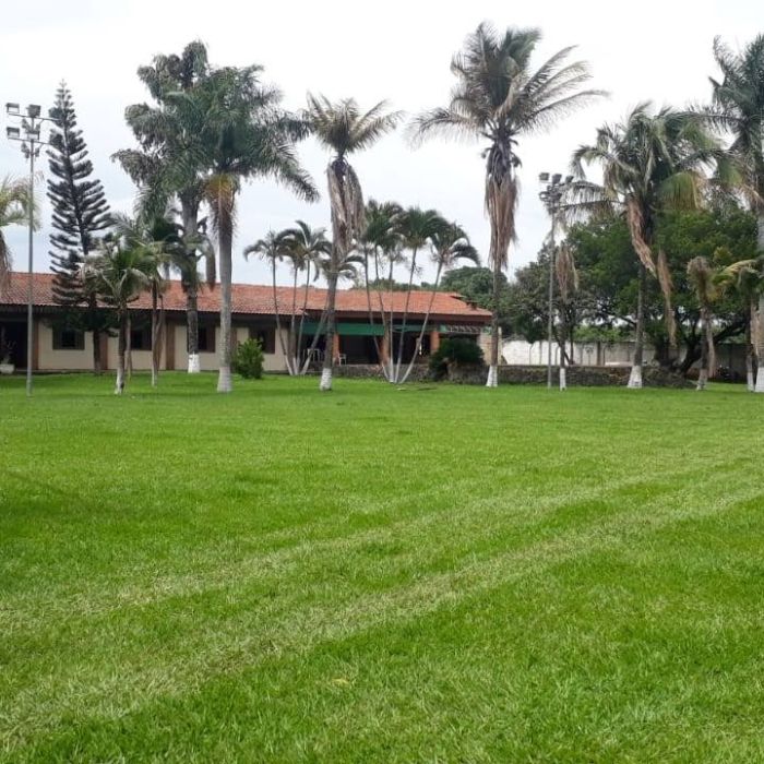 +210 Clínicas de Recuperação para Alcoólatras em São Paulo com Internação e Remoção Especializada