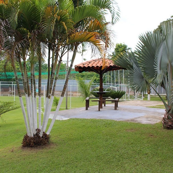 Clínica de Reabilitação para Dependentes Químicos: Tratamento, Internação e Como Vencer os Vícios